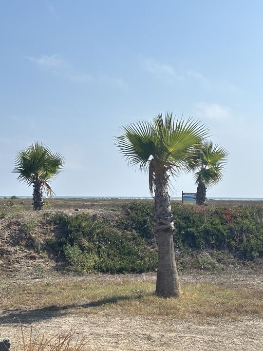 Gruissan