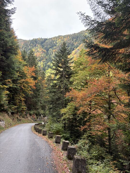 Col d'Aspin