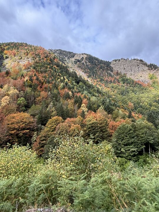 Col d'Aspin