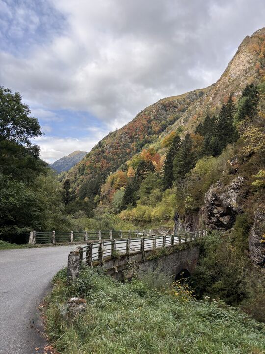 Col d'Aspin