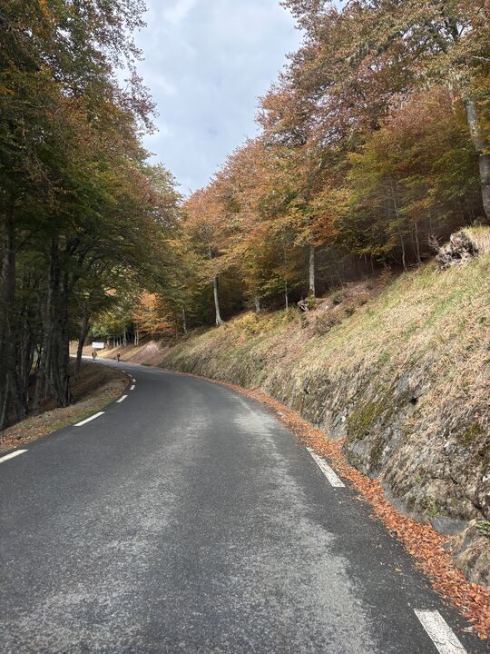 Col d'Aspin