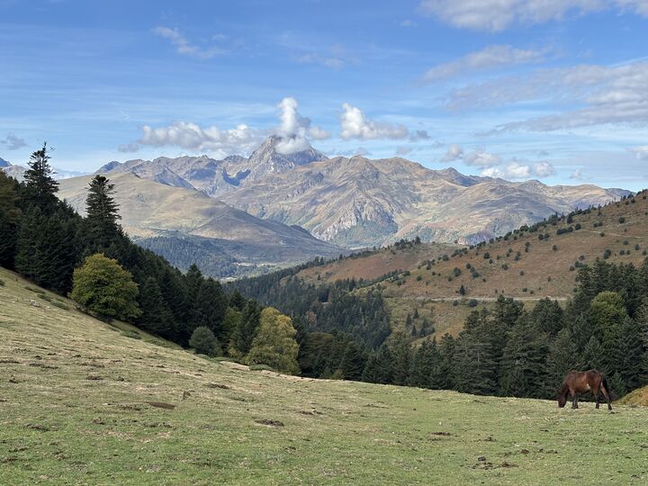 Col d'Aspin