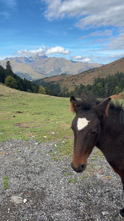 Col d'Aspin