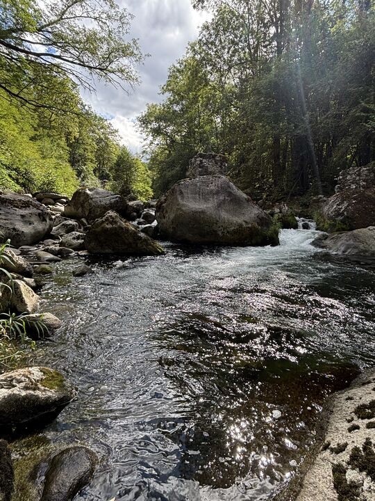 Tarascon sur Ariège