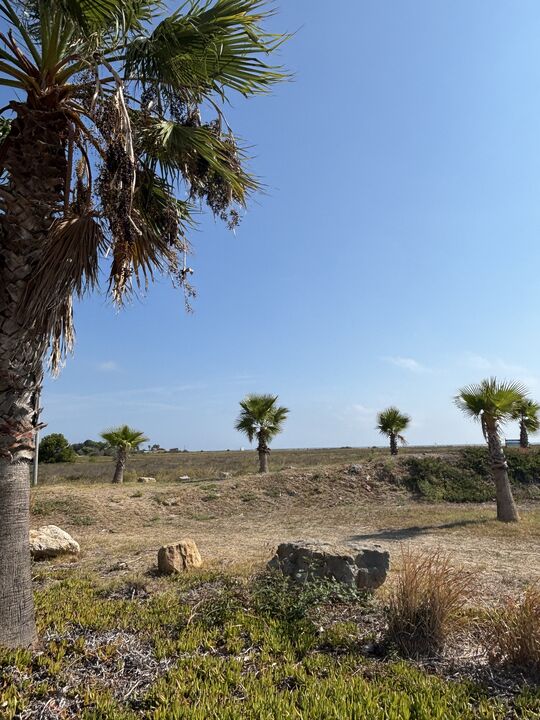 Gruissan