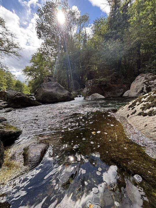 Tarascon sur Ariège