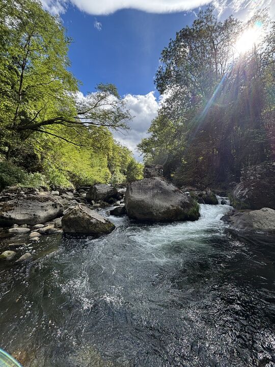 Tarascon sur Ariège